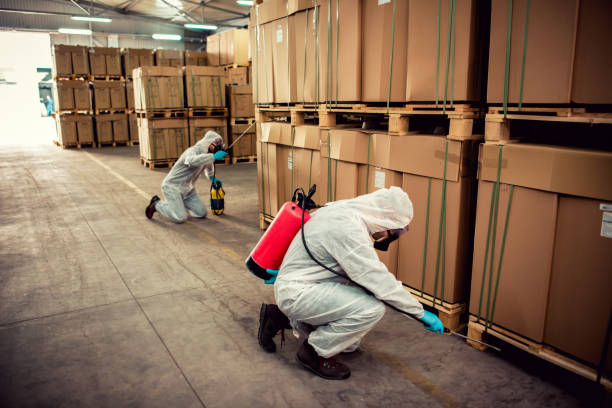 Best Termite Control Services  in Greenhills, OH