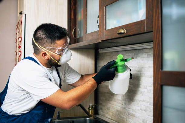 Professional Pest Control in Greenhills, OH