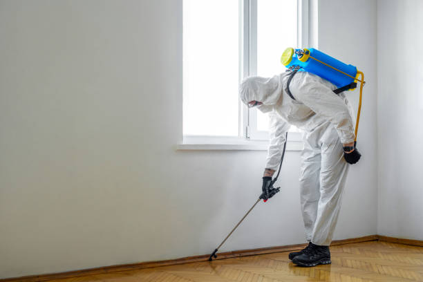 Best Bed Bug Extermination  in Greenhills, OH