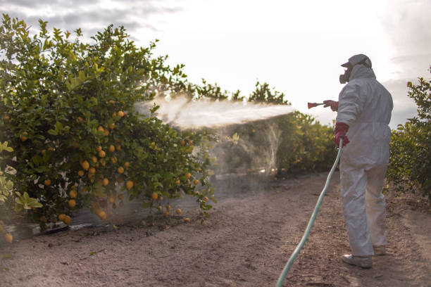 Best Commercial Pest Control Services  in Greenhills, OH