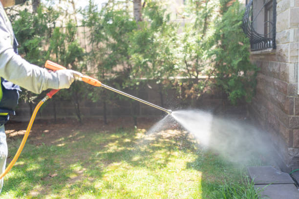 Best Local Pest Control Services  in Greenhills, OH
